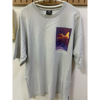 Dickies 厚磅 燙印圖片 短T 灰色