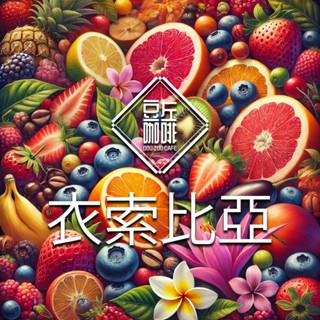 【豆左咖啡】批發優惠 自家烘焙 咖啡豆 濾掛咖啡 精選 衣索比亞 日曬