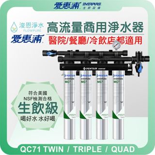 EVERPURE 愛惠浦 QC71 商用高流量淨水器 ( 濾水器 飲水機 濾芯 濾心 餐廳 醫院 送SGS水質檢測報告)