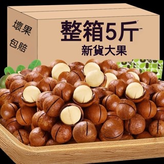 【熱門堅果】帶殼大顆粒夏威夷豆 袋裝500g 夏威夷豆新鮮大顆 奶香味即食夏威夷果 精選顆粒 堅果批發堅果零食休閒零嘴