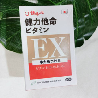 甘味人生健力他命 90錠 30錠 甘味人生日本原裝健力他命EX強效錠