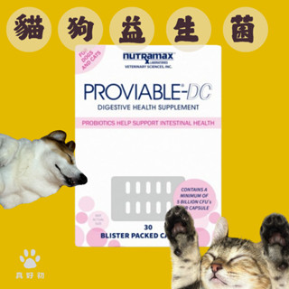 💥真好初💥Proviable DC 寵物貓狗益生菌 腸胃保健 貓 狗 益生菌 美國 Nutramax
