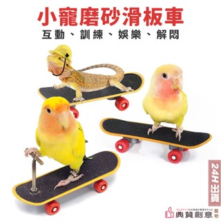 小寵磨砂滑板車 鸚鵡滑板車 鳥滑板 迷你烏龜滑板 爬蟲滑板 鳥玩具 鸚鵡玩具 小寵玩具 爬蟲玩具 烏龜玩具 寵物典贊創意
