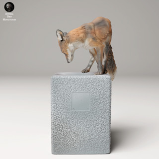 Tazo工坊[AD] 赤狐pose1Red Fox (Vulpes Vulpes) pose1 3D列印模型UW