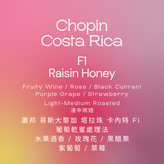 【IF Coffee Roasters】哥斯大黎加 塔拉珠 卡內特 音樂家 蕭邦 葡萄乾蜜 精品咖啡 咖啡豆 濾掛耳掛