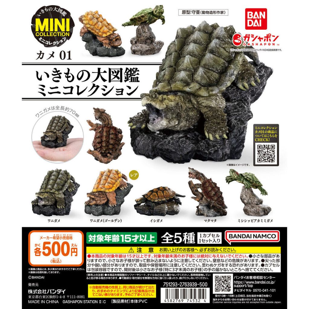 ❖貓大爺玩具❖現貨 BANDAI 生物大圖鑑Mini 烏龜01 迷你系列 轉蛋 扭蛋 鱷龜 巴西龜 楓葉龜 石龜