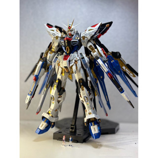 {鋼彈的屋-模型工作室} 萬代 MGEX 攻擊自由 全機塗裝完成品 （實品如圖） 鋼彈 模型 代工
