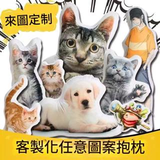 🔥私人訂製🔥 客製化異形抱枕 寵物訂製抱枕 造型抱枕 免費摳圖 寵物抱枕 寵物紀念 雙面印製 動物抱枕 客製抱枕
