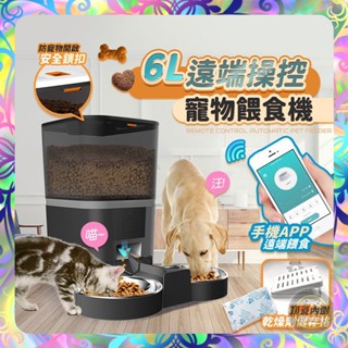 【雙碗設計❎定時餵糧】智慧寵物餵食機 304不鏽鋼碗 6L大容量 防卡糧 智慧餵食器 餵食器 餵食機 防潮