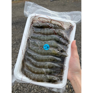 🇹🇼臺灣在地鹹水白蝦（益生菌無毒養殖）