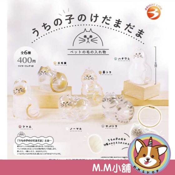【M.M小舖】『預購』 5月 Bright link 轉蛋 扭蛋 我家毛孩透明吊飾 貓咪 透明 吊飾 公仔 全6款