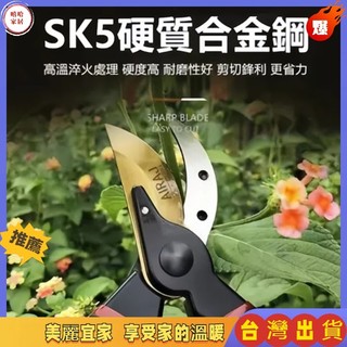 優選🏆 粗枝剪刀 修花剪刀 果樹剪 園藝工具 花藝剪刀 SK5 樹枝剪 園藝剪 花剪 園藝剪刀 修枝剪 高枝剪