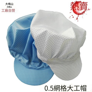 熱銷-DAK-3C專營店防靜電網格大工帽.0.5網格鴨舌工作帽.防塵潔凈帽子.電子無塵帽
