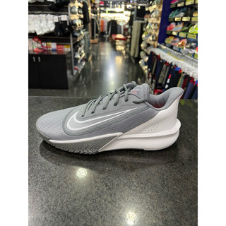 NIKE PRECISION VII 男款 籃球鞋 FN4322-003 灰色 入門款 大尺寸