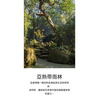 可雅【三峽大板根森林溫泉渡假村 森林門票】(板橋or新莊or中壢可)