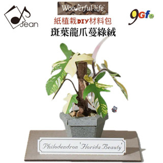 紙模型 紙植栽DIY材料包 斑葉龍爪蔓綠絨 9028424 紙風景 手作 擺飾 紙模型紙雕 裝飾 DIY
