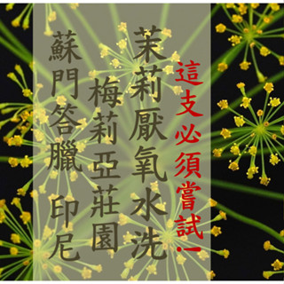 (2024必敗款) 獵豆工坊🐆 蘇門答臘 印尼 亞齊 梅莉亞莊園 茉莉厭氧水洗 咖啡生豆 500g