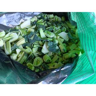 【小可生鮮】冷凍青江菜【1公斤/包】冷凍綠色蔬菜 青江菜