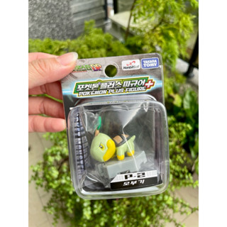 ［Takara Tomy 韓版］草苗龜公仔❤️全新現貨