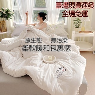 【菲比】臺灣現貨免運速發 A類大豆原棉超柔軟日式簡約冬天棉被 不起球不跑棉素色被胎 孕婦母嬰級冬被 3秒速熱裸睡首選棉被