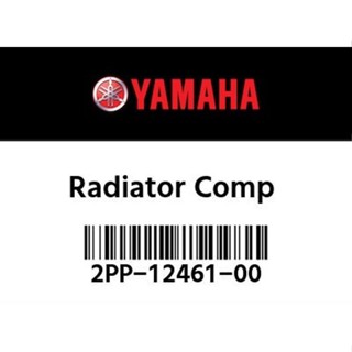 XSR900 水箱套件 總成 冷排 散熱器 Radiator Comp [2PP-12461-00]