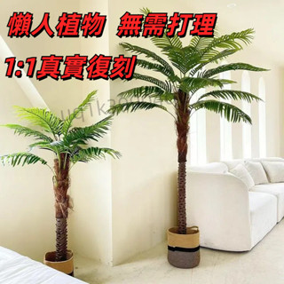 【無需打理 免運】北歐大型高檔模擬刺葵針葵樹椰子樹仿生綠植假樹室內客廳落地裝飾 8BSP