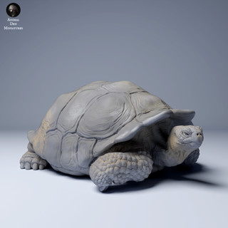 Tazo工坊[AD] 加拉巴哥象龜pose2 Galápagos giant tortoise 3D列印模型TGI