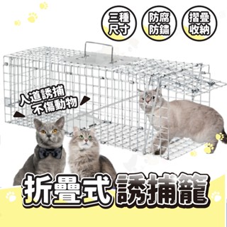 【188號】折疊式誘捕籠 誘捕籠 捕貓籠 誘捕籠 貓 TNR救援 動物救援 結紮 貓咪誘捕籠 貓誘捕籠 大型誘捕籠 捕貓