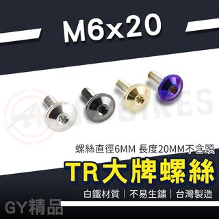 JZ 傑能｜TR螺絲 大頭螺絲 M6x20 機車牌框螺絲 大牌螺絲 車牌螺絲 牌照螺絲 造型螺絲 裝飾螺絲 白鐵螺絲