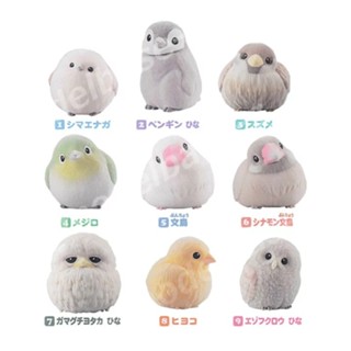 🌀日版客🌀 日版 掌上好朋友 掌中鳥 BANDAI 山雀 文鳥 貓頭鷹 麻雀 綠繡眼 企鵝 貓頭鷹 小雞 軟膠公仔