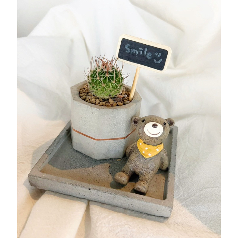 多多覓創意水泥［🌵仙人掌盆栽組］禮物🎁｜聖誕節🎄｜情人節💘｜母親節｜療癒植物｜居家氛圍｜辦公室小物