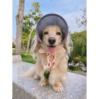 韓國寵物帽子 狗狗帽子 遮陽帽 抗UV Lalabuy