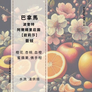 TASTER`S 巴拿馬 波奎特 阿爾鐵裡莊園 藝妓 水洗【歐莉莎】咖啡豆