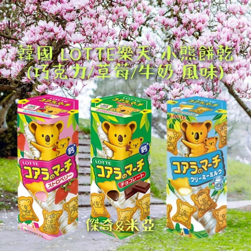 🇰🇷韓國 LOTTE樂天 小熊餅乾(巧克力/草莓/牛奶/香濃煉乳/濃黑巧克力/宇治抹茶 風味)37g/盒#韓版小熊餅乾