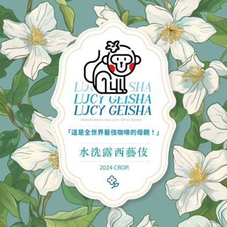 咖啡生豆 2024水洗露西藝伎 / 衣索比亞 /班奇馬吉 /露西處理站 /頂級G1藝伎