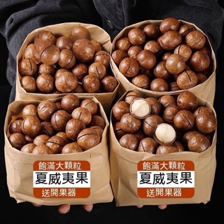 【限時特惠】夏威夷果1kg 大顆粒 帶殼 原味 奶香夏威夷果 堅果批發 奶油味 乾果 零食 大顆粒兒童孕婦零食批發一公斤