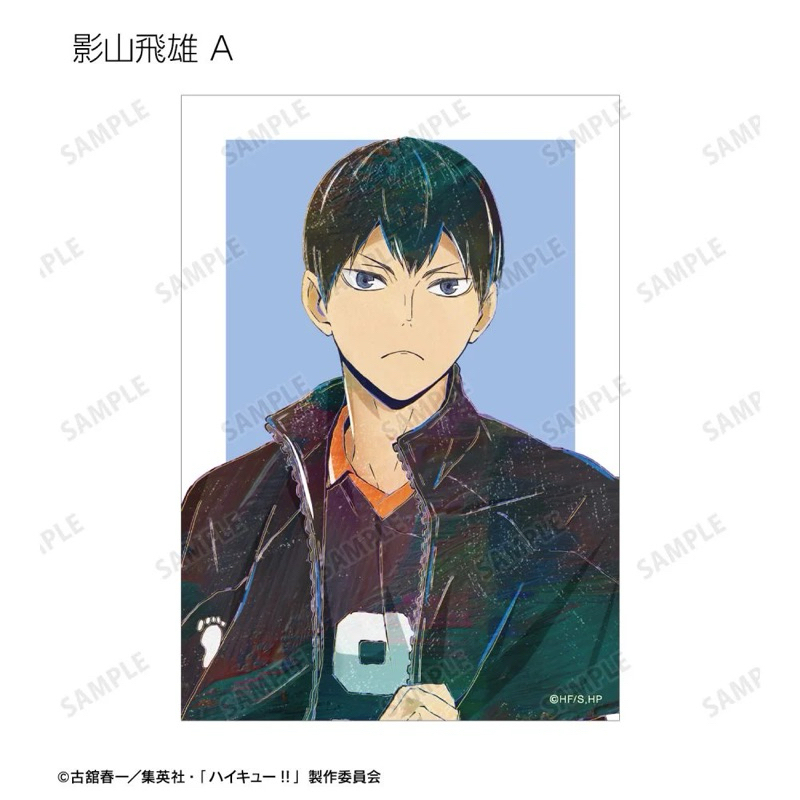 新品【ハイキュー!!】排球少年Ani-Art第5弾相卡。影山飛雄A款。影山飛雄B款