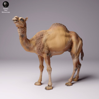 Tazo工坊[AD] 雄性單峰駱駝Dromedary Camel male 3D列印模型SD