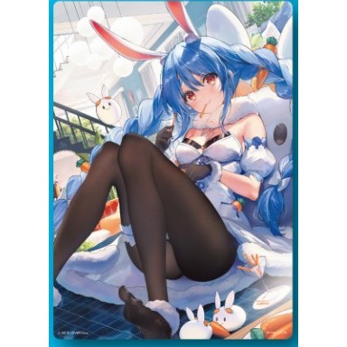 【WAT現貨】hololive 一番賞 vol.1 第一彈 最後賞 B5畫板 兔田佩克拉