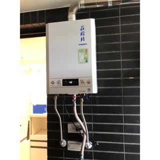 【莊頭北】TH-7168BFE / 16L(16公升)數位恆溫分段火排強制排氣熱水器TH-7168