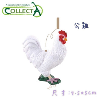 CollectA 英國高擬真模型 火雞 公雞 模擬 動物模型 公仔