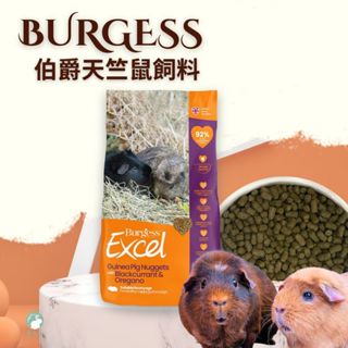 ♕愛兔草♕英國伯爵 Burgess 天竺鼠飼料-黑梅&奧勒岡葉 伯爵兔 天竺鼠飼料 鼠飼料
