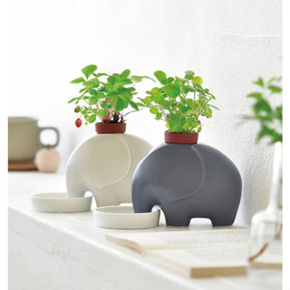 聖新陶芸elephant瀨戶燒大象陶盆種植組/ 灰象/ 薄荷 eslite誠品
