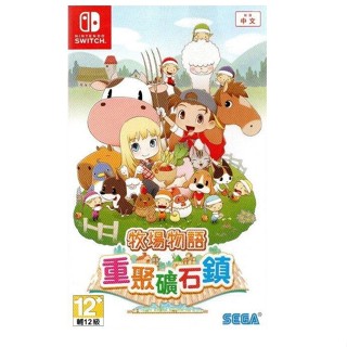 全新NS 臺灣公司貨 中文版 牧場物語 重聚礦石鎮