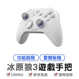 FLYDIGI 飛智 冰原狼3 雙霍爾 遊戲手把 無線手把 PC手把 搖桿 控制器 無限控制器 電競手把 電腦手把