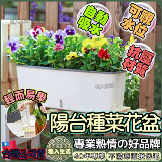 【自動吸水】懶人花盆 控根盆 長型花盆 種植箱 長方盆 青山盆 種菜箱 種菜盆 陽臺 種菜 吸水花盆 花盆 菜盆 掛盆