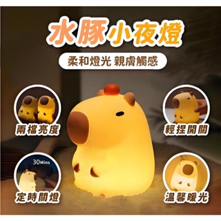 臺灣現貨超低價【免運費🔥輕捏即亮】卡皮巴拉小夜燈 交換禮物 聖誕禮物實用 水豚夜燈 拍拍燈 水豚君娃娃 水豚君 生日禮物