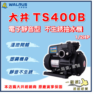 ❗最便宜❗【一級泵】🌸免運🌸 大井 TS400B 1/2HP 電子靜音型 抽水機 不生鏽水機 抽水馬達 泵浦 TS400