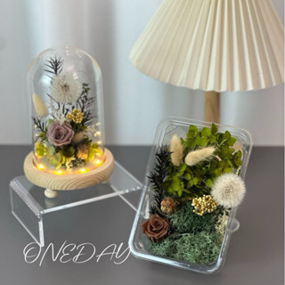 ONEDAY ✨蒲公英 永生花材料包 花材 玻璃花盅材料包 永生康乃馨 玻璃花盅 材料包 永生花擺件 DIY 手工花藝