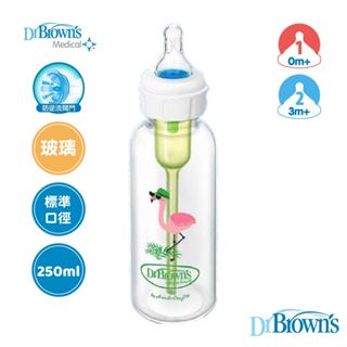 美國【Dr.Brown's布朗博士】特殊流量玻璃奶瓶250ml (唇顎裂適用) 標準口徑 官方旗艦店